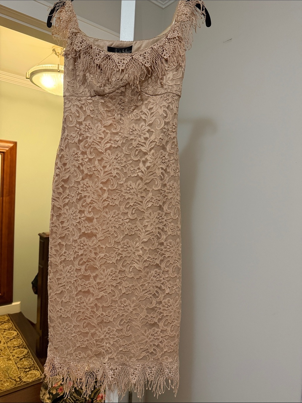 Nicole Miller Blush Pink Lace Midi Dress with Fringe Trim size 2